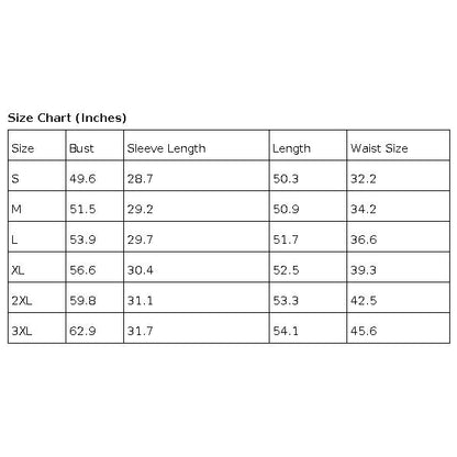 Women's Stylish Pleated Shirt Dress With Waist Band Long Dresses